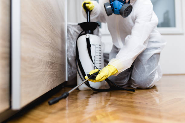 Best Best Pest Control Companies  in Essex Junction, VT