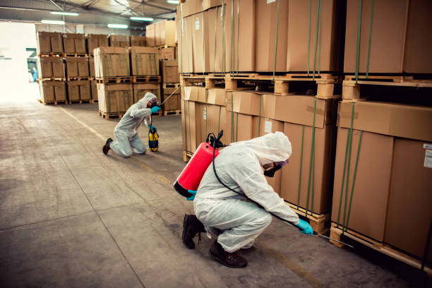 Best Rat Extermination Near Me  in Essex Junction, VT