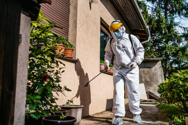 Reliable Essex Junction, VT Pest Control Solutions