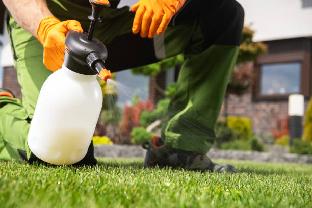 Best Local Pest Control Services  in Essex Junction, VT