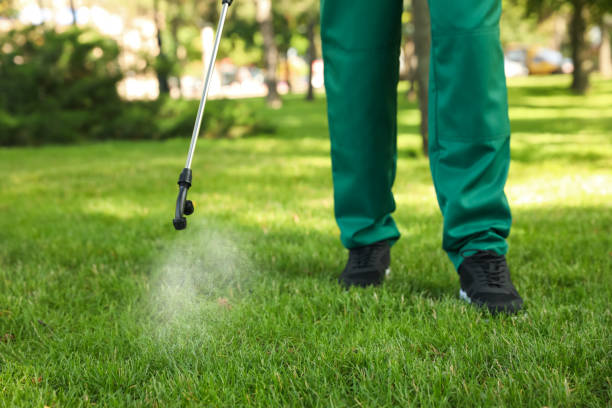 Best Emergency Pest Control  in Essex Junction, VT