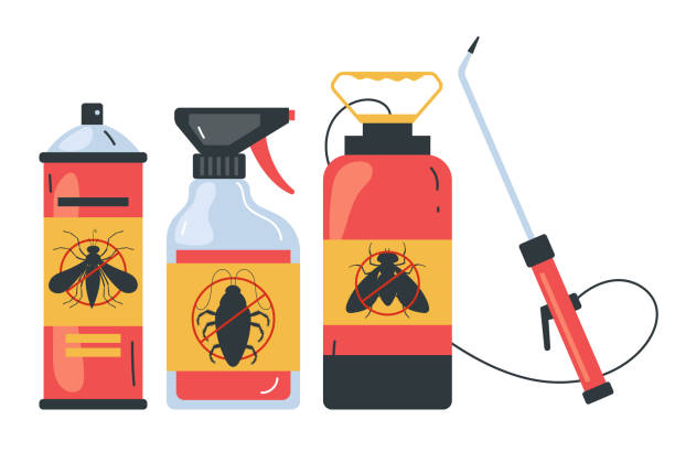 Best Pest Control Near Me  in Essex Junction, VT